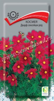 Космея Дварф сенсейшн ред 0,2гр (Поиск) 10 упак.
