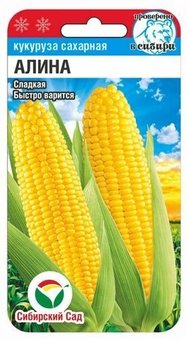 Алина 6шт кукуруза (Сиб Сад)