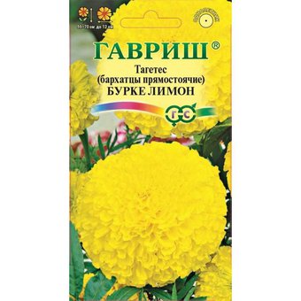 Бархатцы Бурке лимон Гавриш Ц