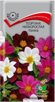 Георгина "Поиск" Хоровод низкорослая 10шт