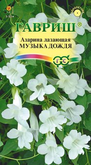 Семена Азарина лазающая Музыка дождя, 5шт, Гавриш, Цветочная коллекция
