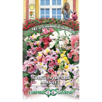 Львиный зев Амулет (Чудес балкон) Гавриш Ц