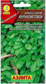 Кресс-салат "Аэлита" Крупнолистовой 1г