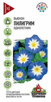 Вьюнок Трехцветный Пилигрим Уд.сем. Гавриш Ц