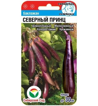 Баклажан Северный принц Сиб. Сад Ц