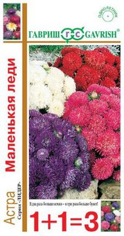 Астра Маленькая Леди 1+1 Гавриш Ц