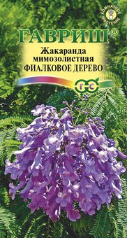 цЖакаранда Фиалковое дерево 3шт 
