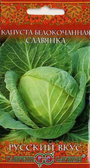 Капуста Славянка Гавриш Ц