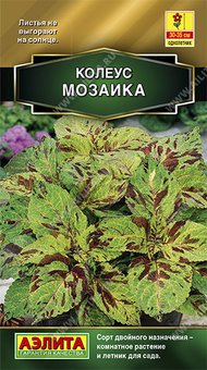 Колеус блюме "Аэлита" Мозаика 10шт