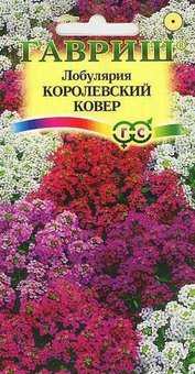 Семена Лобулярия Королевский ковер, 0,1г, Гавриш