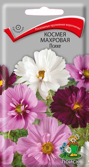 Агрохолдинг Поиск / Однолетние цветы / Семена цветов / Космея махровая Психе / набор из 3-х упаковок