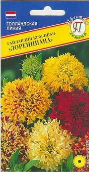 Гайлардия красивая Лоренциана Престиж Ц