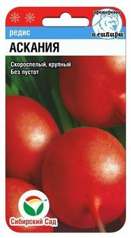 Аскания 2г редис (Сиб сад)