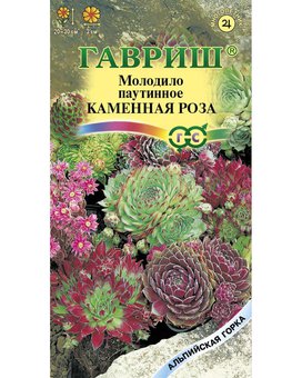 Цветы Молодило Каменная роза 0,01г серия Альпийская горка Гавриш