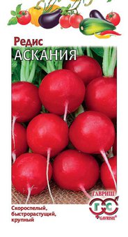 Редис Аскания евр.отв Гавриш Б