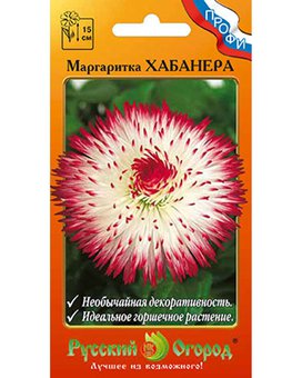 Цветы Маргаритка Хабанера (15шт)