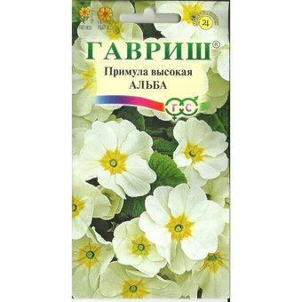 Примула Альба высокая Гавриш Ц