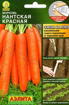 
                            Морковь Нантская красная на ленте 8м                        