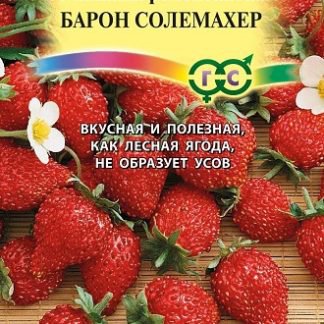 Земляника Барон солемахер евр.отв. Гавриш Б