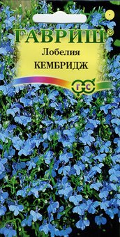 цЛобелия Кембридж.0,01г 