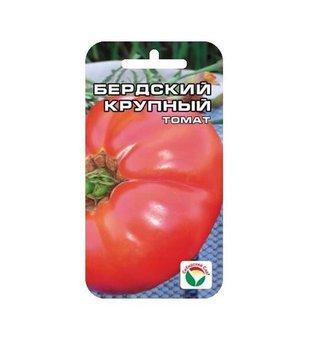 Томат Бердский крупный Сиб.сад Ц