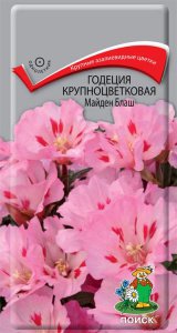 Годеция Майден Блаш Поиск Ц