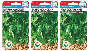 Семена Сибирский сад Кориандр Марокканский, 3 уп. по 3 г