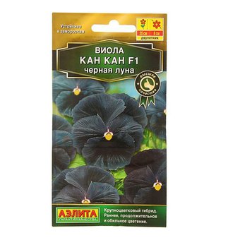 цВиола Кан-кан черная луна 7шт 