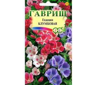 Годеция Клумбовая смесь Гавриш Ц