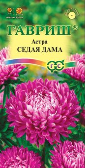 Астра Седая дама Гавриш Б
