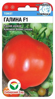 Томат Галина Сиб.Сад Ц