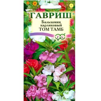 Бальзамин карлик. Том Тамб Гавриш Ц