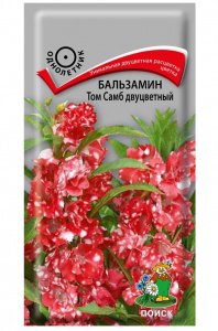 цБальзамин Том Самб двуцветный 0,1г 