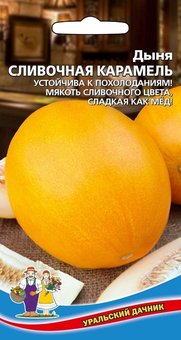 Дыня Сливочная Карамель  5 шт + подарок