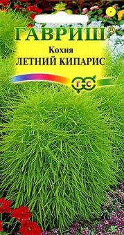 Семена Кохия веничная Летний кипарис, 0,3г, Гавриш
