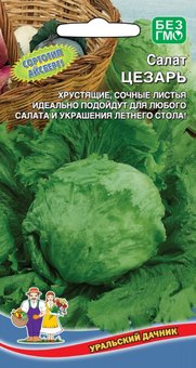 Салат Цезарь кочанный 0.3г Ср (УД), 10 Пачек семян!