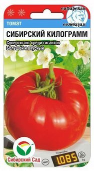 Сибирский килограмм 20шт томат (Сиб Сад)