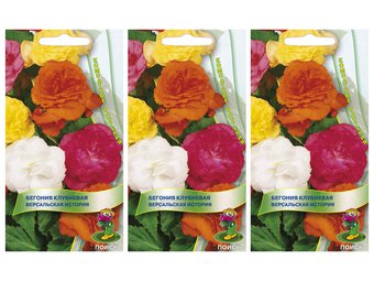 Бегония клубневая Версальская История. Набор семян комнатных растений. 3 упаковки. Агрофирма Поиск