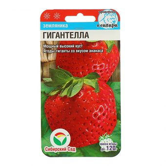 Земляника Гигантелла 10шт 