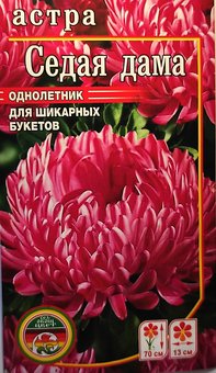 Астра "Седая дама" однолетняя семена