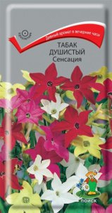Табак Сенсация душистый Поиск Б