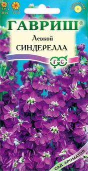 цЛевкой Синдерелла 