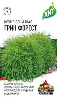 Семена Кохия веничная Грин Форест, 0,2г, Удачные семена, х3