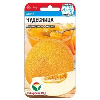 Дыня Чудесница Сиб сад Цх10