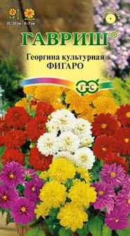 Семена Георгина культурная Фигаро, смесь, 10 шт, Гавриш, Цветочная коллекция