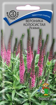 Вероника колосистая Розовая Поиск Ц