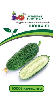 Огурец Шоша 5шт 