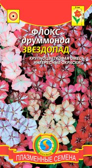 Флокс друммонда Звездопад смесь Плазма Ц