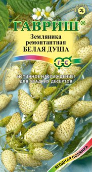 Земляника Белая душа Гавриш Ц 
