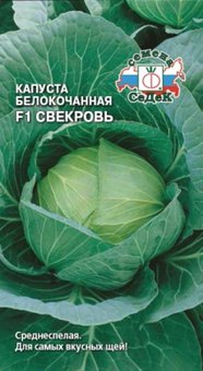 Капуста б/к Свекровь F1 0.25г Ср (Седек), 10 Пачек семян!